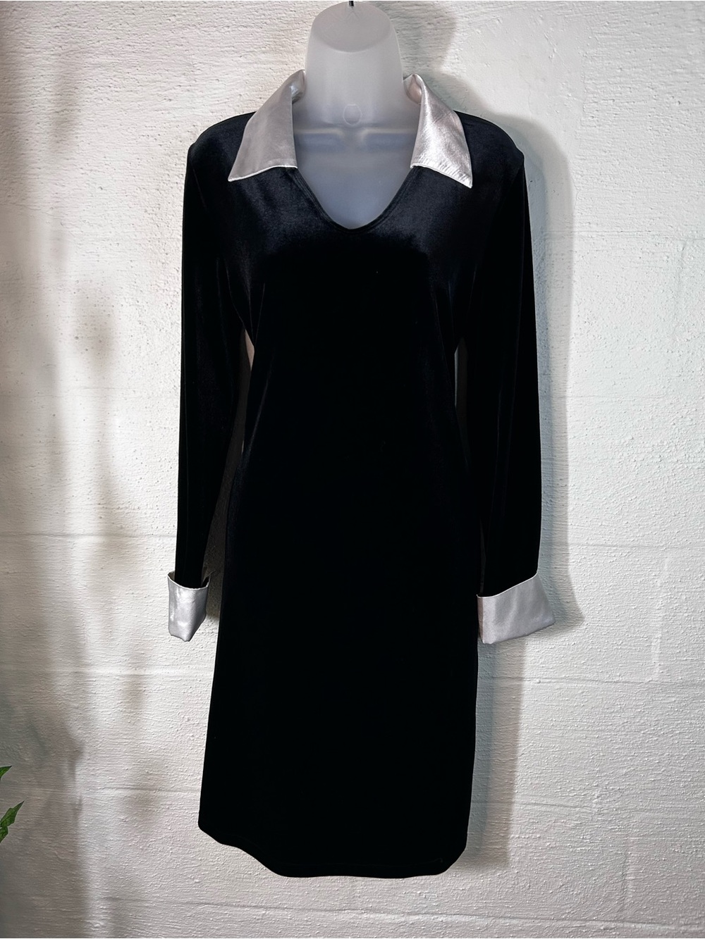 Fancy velvet collared dress